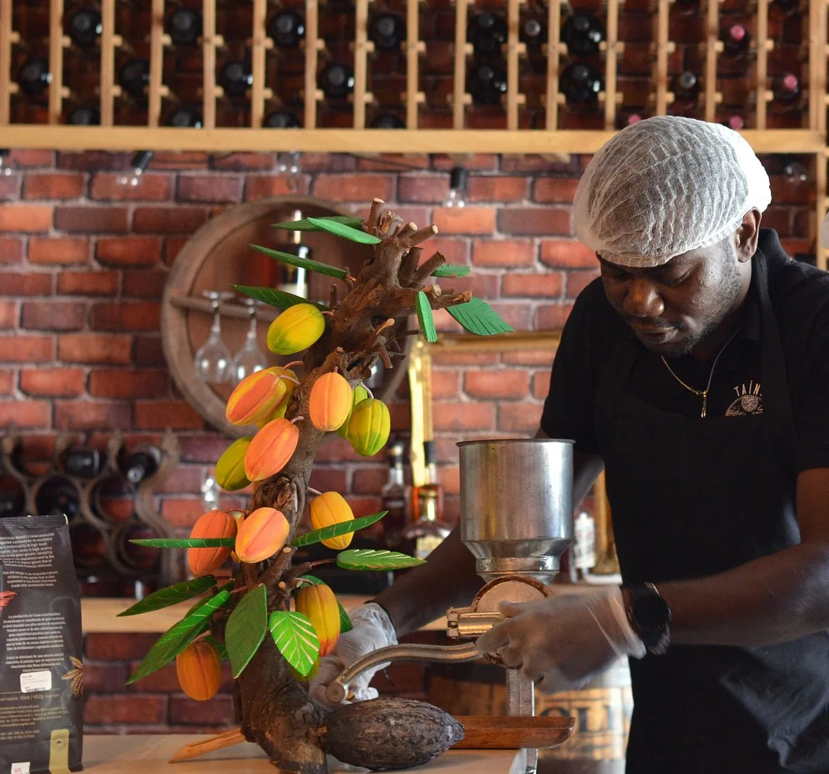 Gastronomic Journey at Taíno Gourmet Cooking Lab