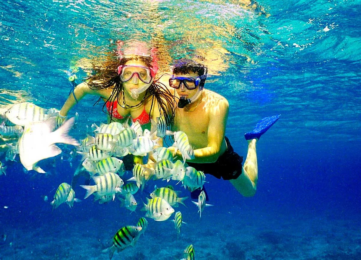 Speedboat & Snorkeling, Atlantic Side in Punta Cana